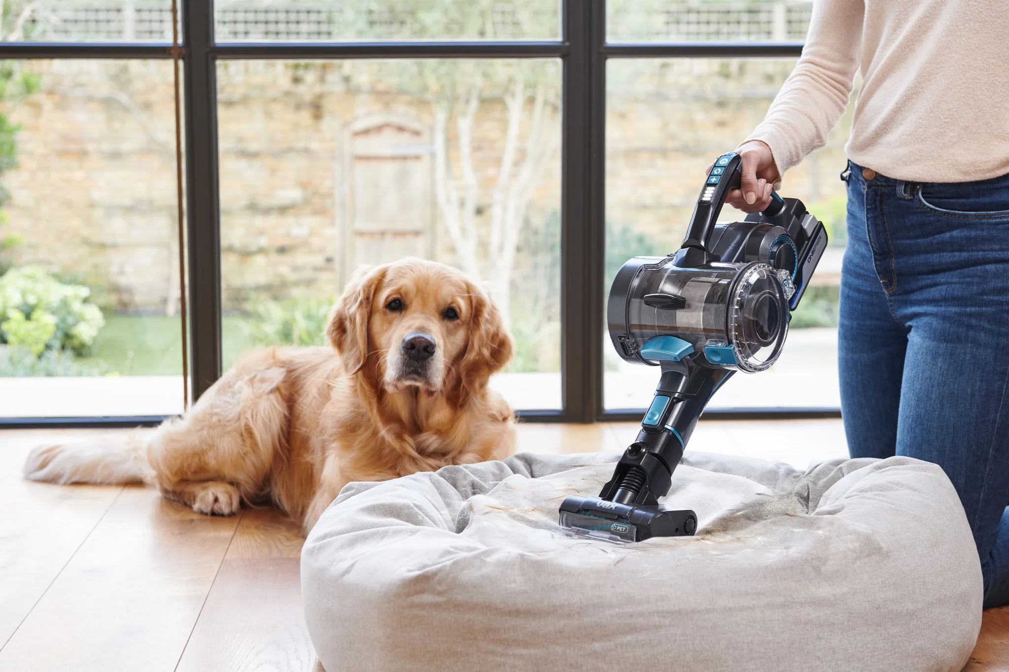 Person using a cordless vacuum with a pet tool attachment to clean a dog bed, while a golden retriever sits nearby on a wooden floor in a bright room with large windows.